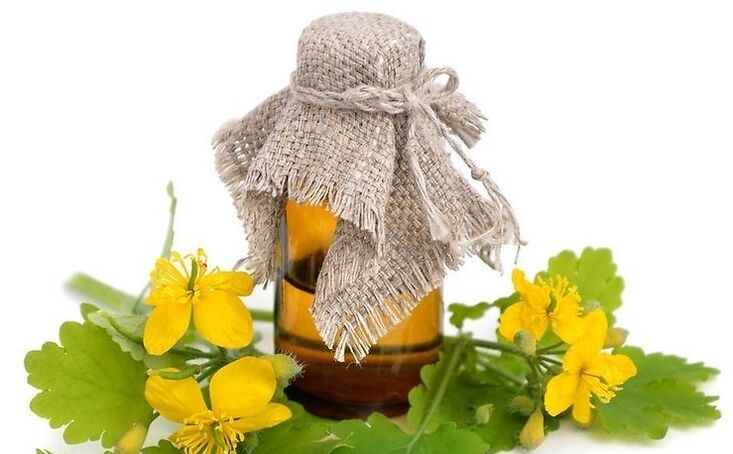 Celandine juice for home treatment of fungal infections on the feet